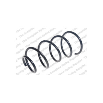 Neox SP8241 - Coil Spring (Front)