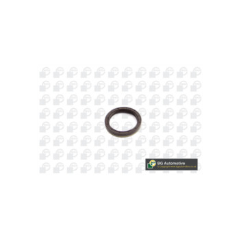 BGA Group OS9602 - Drivetrain Seal (Right Hand)