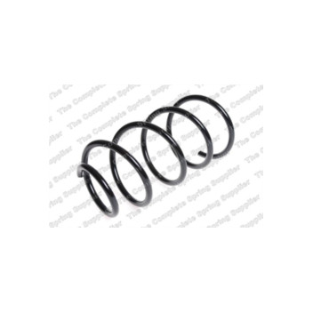 Neox SP6626 - Coil Spring (Front)