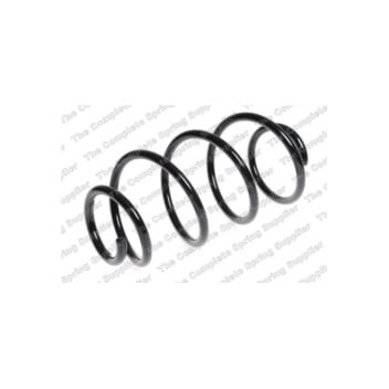 Neox SH6317 - Coil Spring (Front)