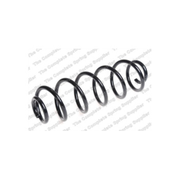 Neox SP6913 - Coil Spring (Rear)