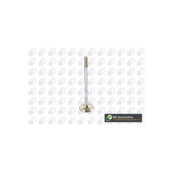 BGA Group V149482 - Exhaust Valve