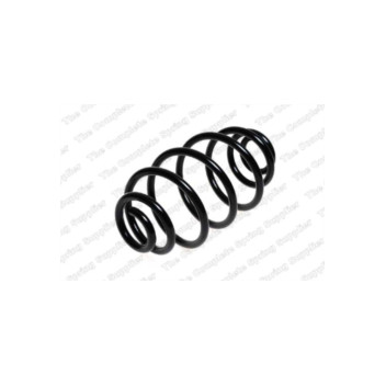 Neox SX6079 - Coil Spring (Rear)