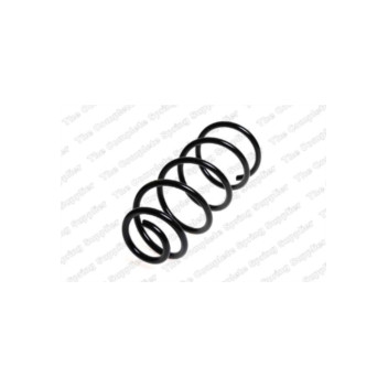 Neox SC6249 - Coil Spring (Rear)