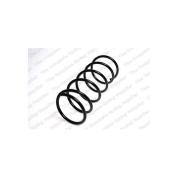 Neox SA6328 - Coil Spring (Front)
