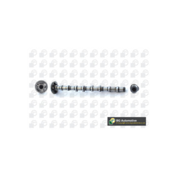 BGA Group CS0900 - Camshaft