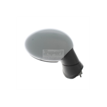 Trupart MM1120 - Mirror (Right Hand)