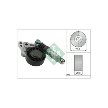 INA 534009810 - Tensioner Lever