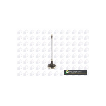 BGA Group V123822 - Exhaust Valve