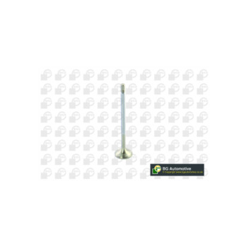 BGA Group V560010 - Exhaust Valve