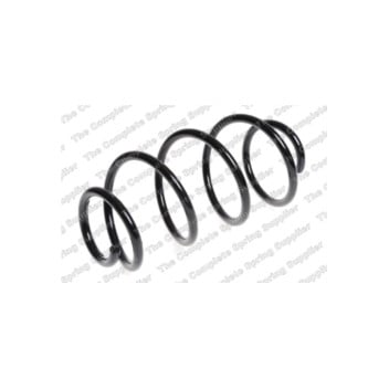 Neox SH6318 - Coil Spring (Front)