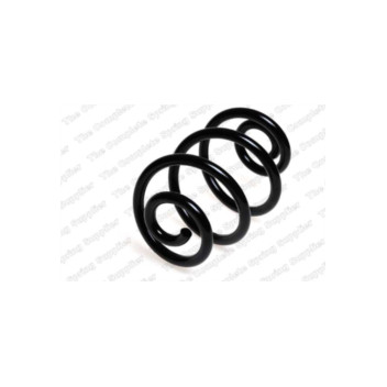 Neox SP7430 - Coil Spring (Rear)