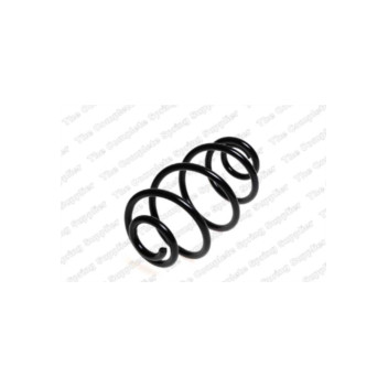 Neox SX6071 - Coil Spring (Rear)