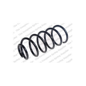 Neox ST1669 - Coil Spring (Rear)