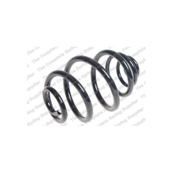 Neox SJ6282 - Coil Spring (Rear)