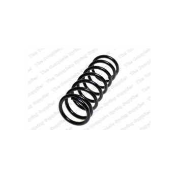 Neox SP8216 - Coil Spring (Front)