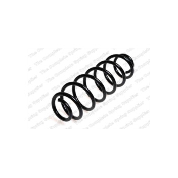 Neox SH6106 - Coil Spring (Rear)