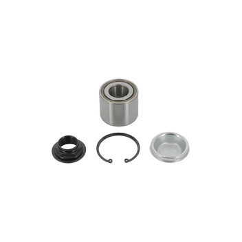 Moog PE-WB-11413 - Wheel Bearing Kit (Rear)