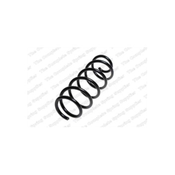 Neox SP7519 - Coil Spring (Rear)
