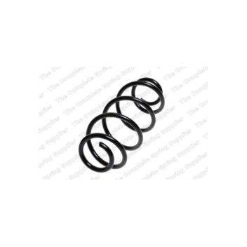 Neox SP7200 - Coil Spring (Rear)
