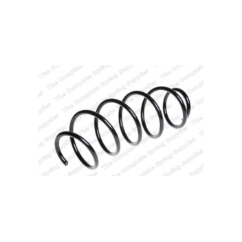 Neox SP8139 - Coil Spring (Front)