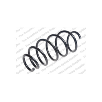 Neox SP9660 - Coil Spring (Front)