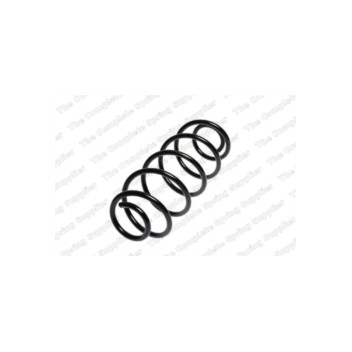 Neox SP7741 - Coil Spring (Rear)