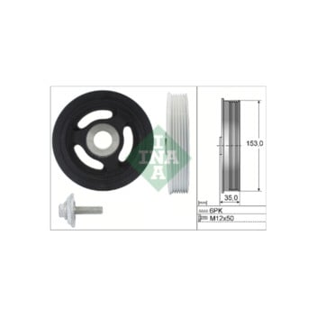 INA 544010420 - Crankshaft Pulley