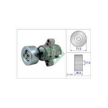 INA 534045310 - Tensioner Lever