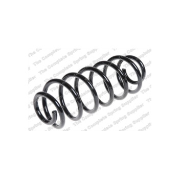 Neox SP6822 - Coil Spring (Rear)