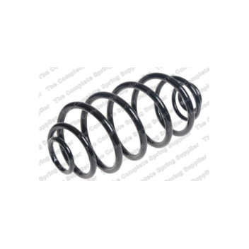 Neox SJ6059 - Coil Spring (Rear)