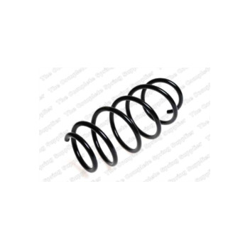 Neox SA6240 - Coil Spring (Front)