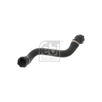 Febi 100615 - Hose (Lower Right Hand)
