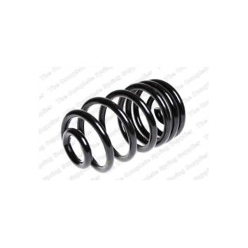 Neox SX6061 - Coil Spring (Rear)