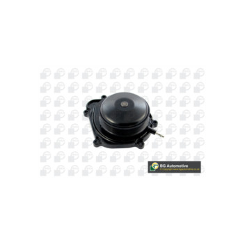 BGA Group CP5603 - Water Pump
