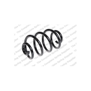 Neox SP9053 - Coil Spring (Rear)
