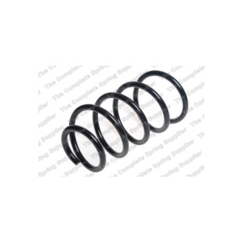 Neox SP8744 - Coil Spring (Front)