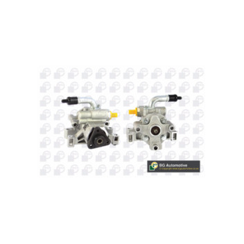 BGA Group PSP2330 - PAS Pump