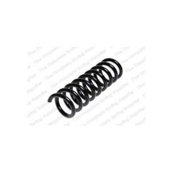 Neox SP7239 - Coil Spring (Rear)