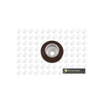 BGA Group OS8371 - Camshaft Seal (Front)