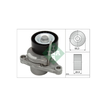 INA 534025010 - Tensioner Lever