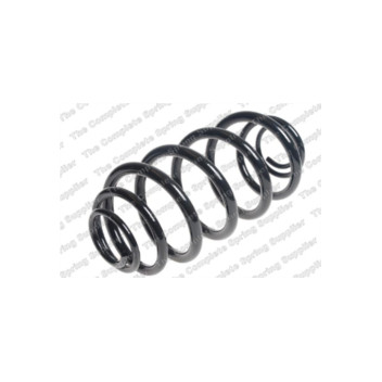 Neox SJ6046 - Coil Spring (Rear)