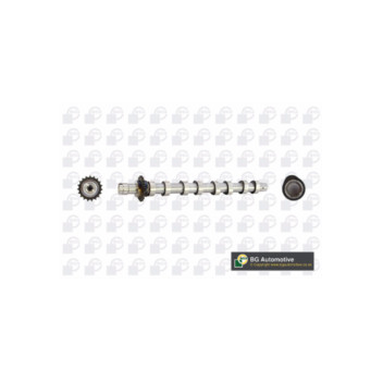 BGA Group CS5531 - Camshaft