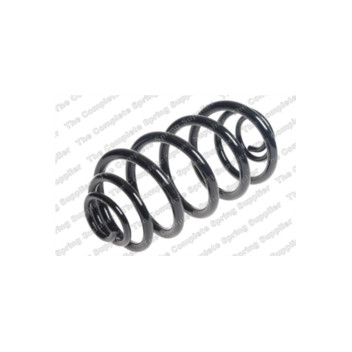 Neox SP9160 - Coil Spring (Rear)