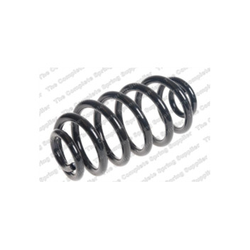 Neox SP9162 - Coil Spring (Rear)