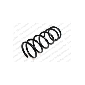 Neox SP7643 - Coil Spring (Front)