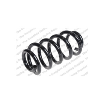 Neox SP7928 - Coil Spring (Front)