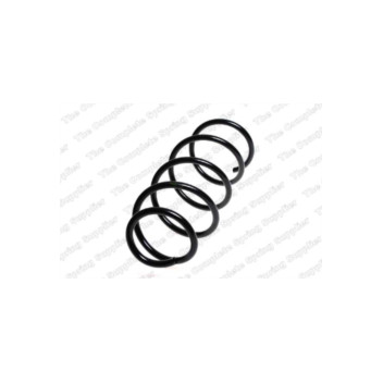 Neox SP7343 - Coil Spring (Front)