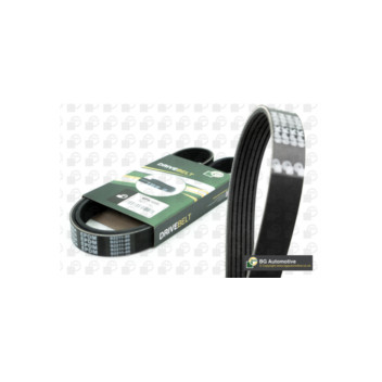 BGA Group 6PK842E - Drive Belt