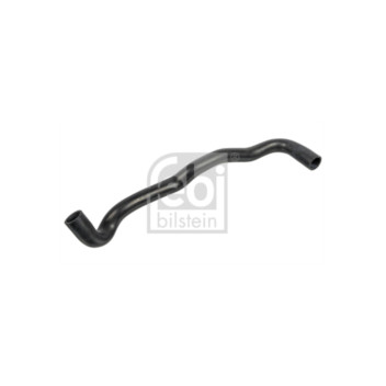 Febi 171199 - Hose (Lower)